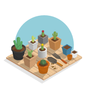Various plants on a table